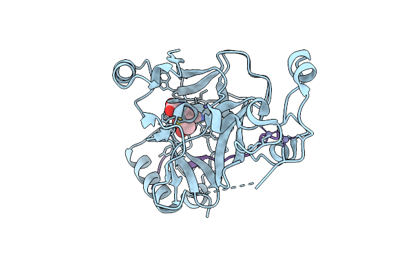 9G4A image