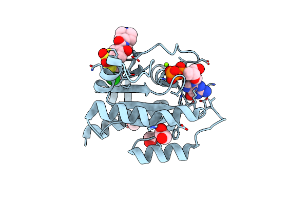 9G4B image