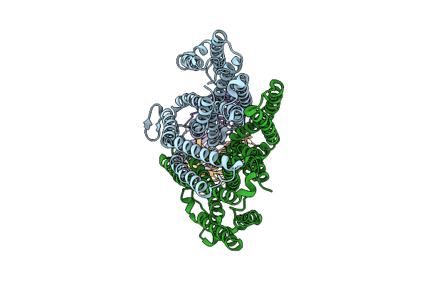 9G4F image