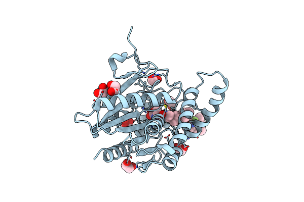 9G4M image