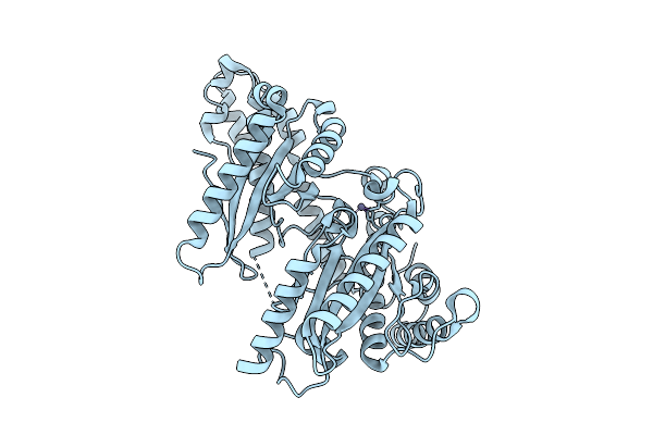 9G4T image