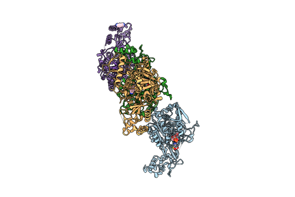 9G53 image
