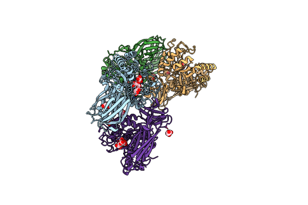 9G5G image