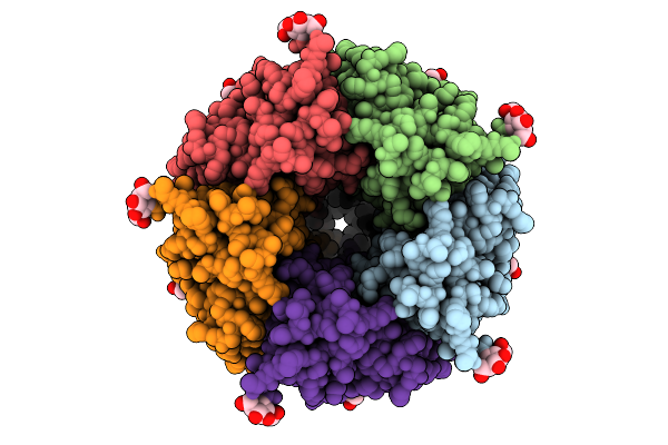 9G60 image