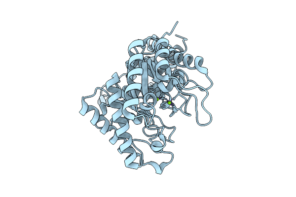 9G61 image