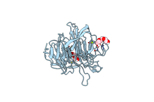 9G65 image