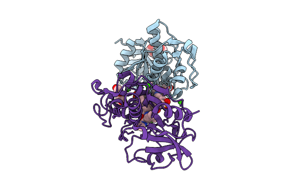 9G6A image