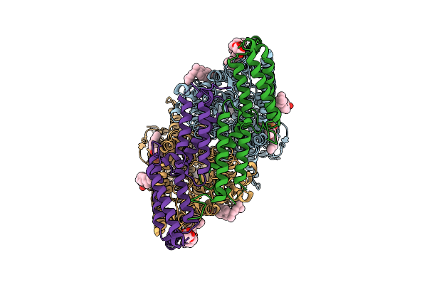 9G6C image