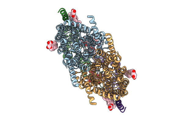 9G6D image