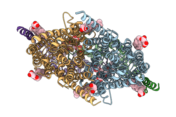 9G6E image