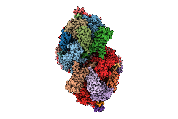 9G6H image