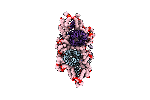 9G71 image