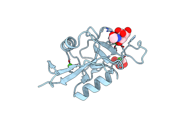 9G76 image