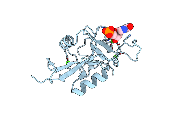 9G7D image