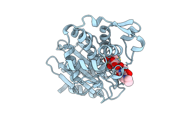 9G80 image