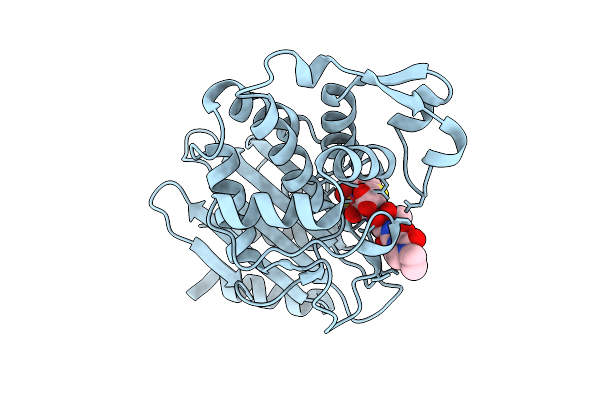 9G82 image