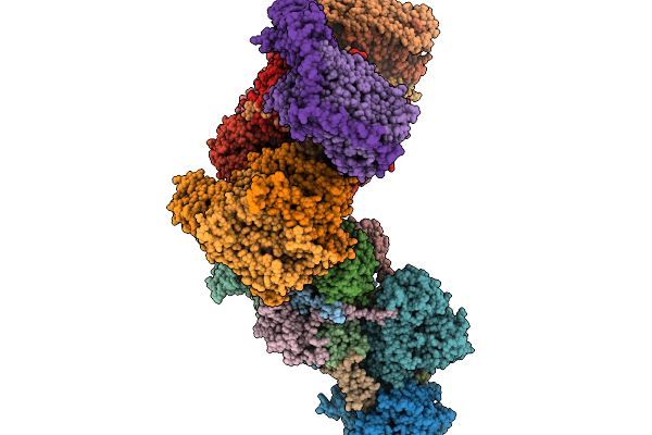 9G83 image