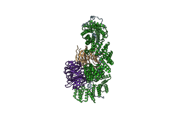 9G8Q image