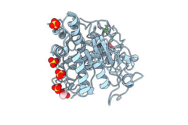 9G8V image