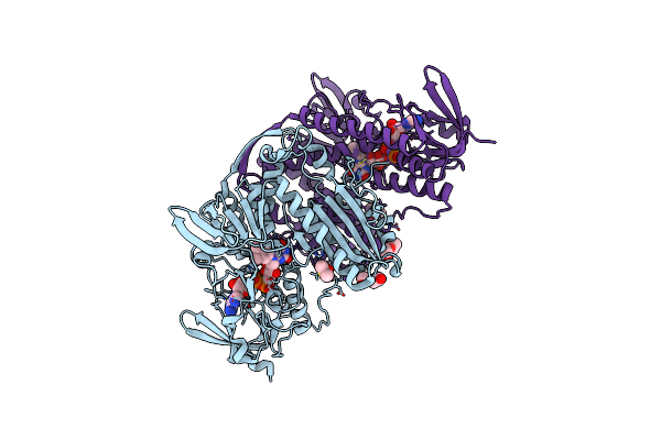 9G92 image