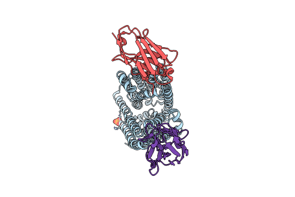 9G9M image