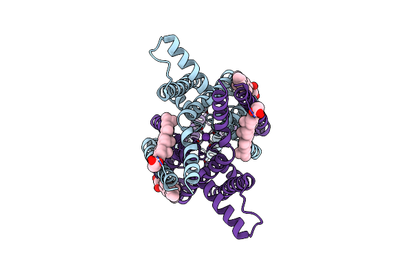 9G9V image
