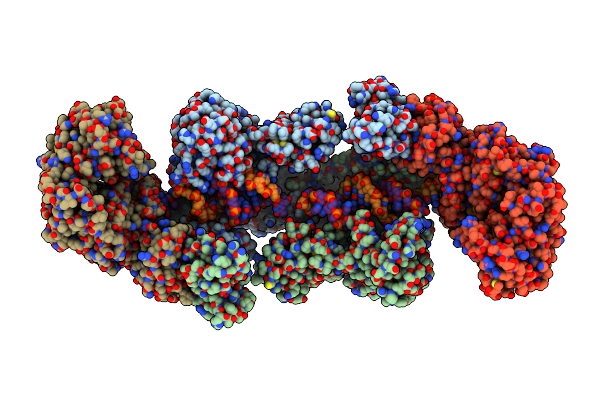 9GA4 image