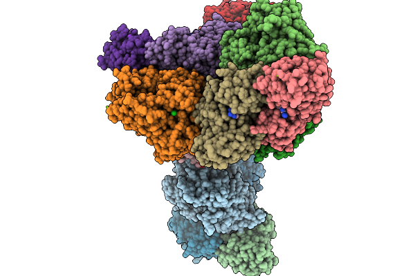 9GAI image