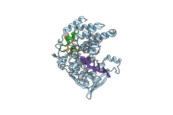 9GAN image