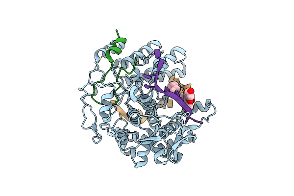 9GAS image