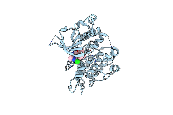 9GBE image