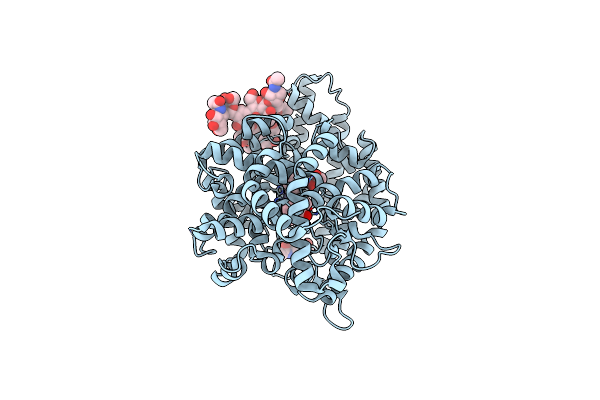 9GBN image