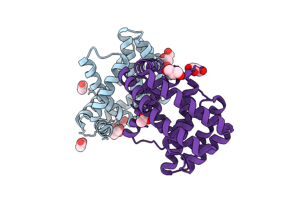 9GBT image