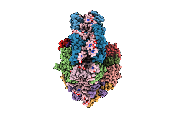9GC2 image