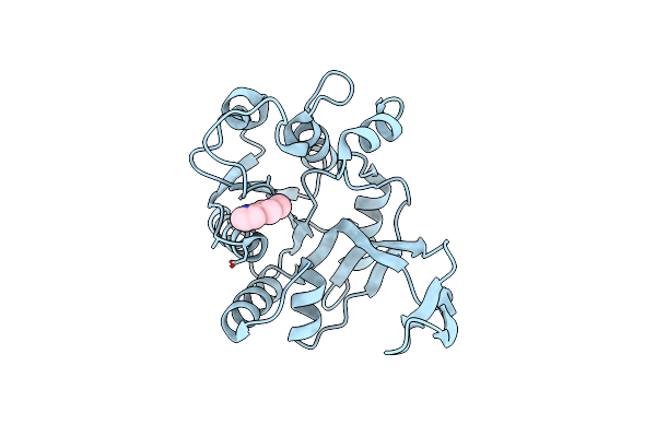 9GCA image