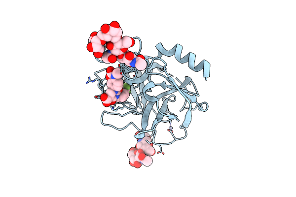 9GCD image