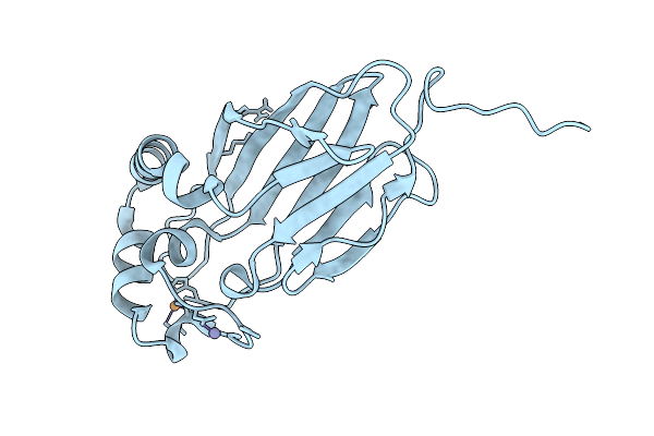 9GCE image