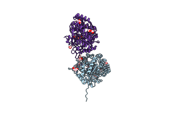 9GCI image