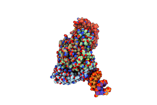 9GCK image