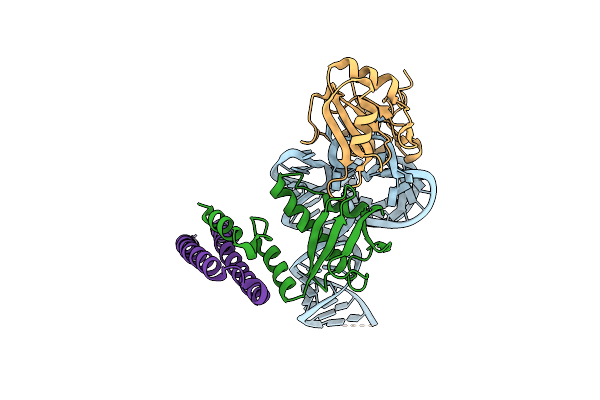 9GCM image