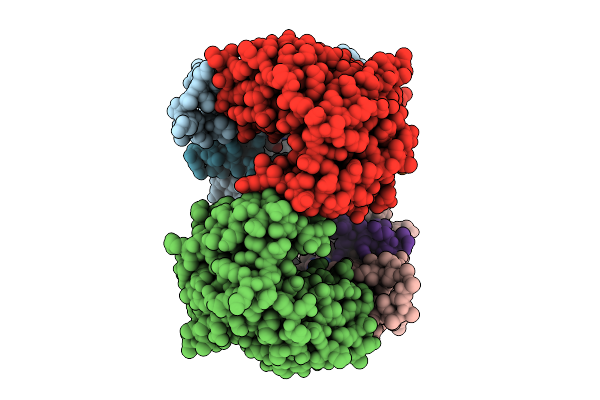 9GCP image