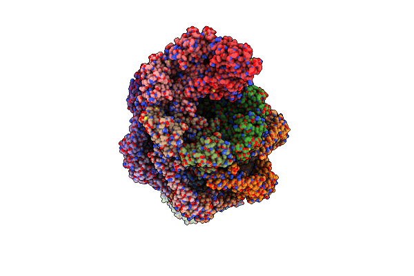9GCT image