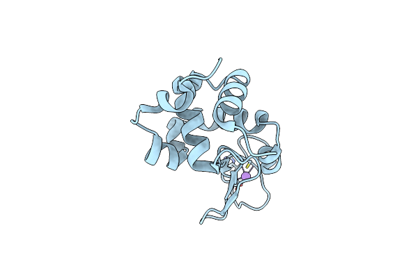 9GCV image