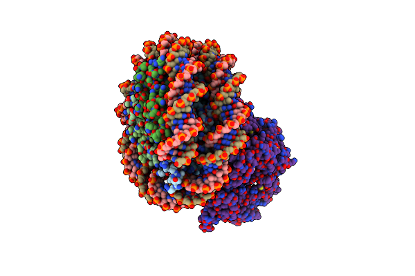 9GD2 image