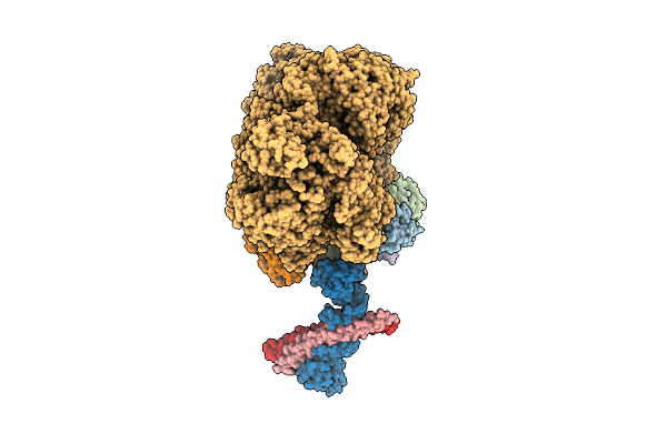 9GD7 image