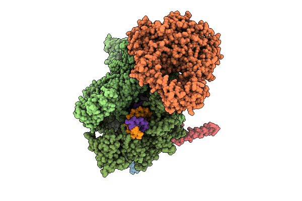 9GDB image