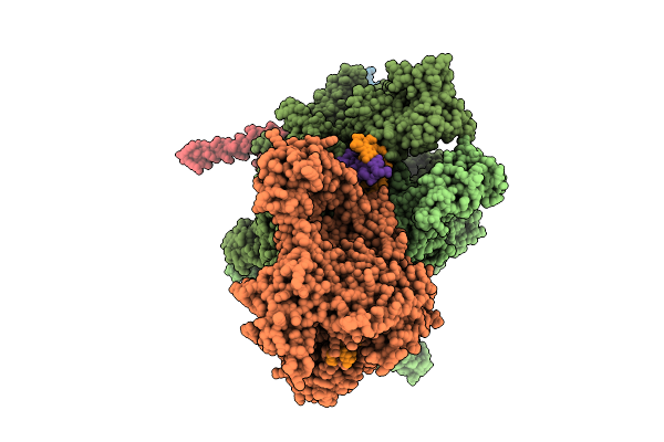 9GDE image
