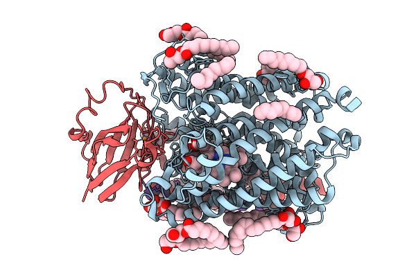 9GDF image