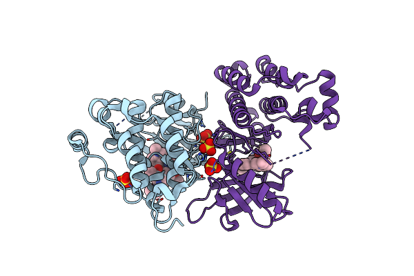 9GDV image