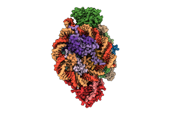9GE5 image